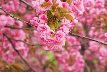 南京秦淮区线下个人借款平台一站式服务，轻松解决资金难题