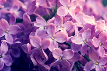 南京秦淮区企业急用钱贷款攻略：快速融资解燃眉之急